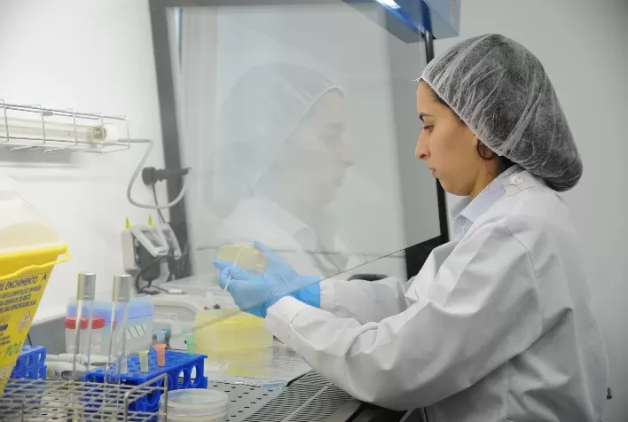 Multinacional portuguesa projeta faturar em 2025 mais de R$ 218 milhões no Brasil