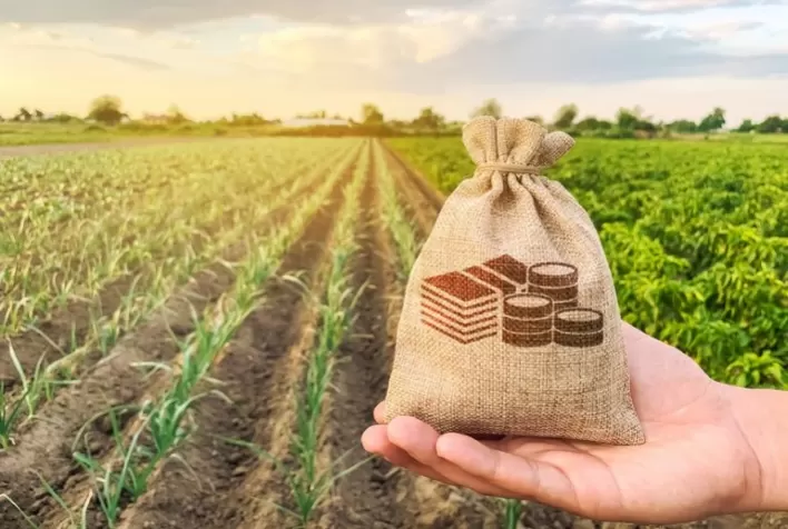 CRÉDITO RURAL: Produtores rurais contrataram 30% mais financiamentos de julho a dezembro de 2021