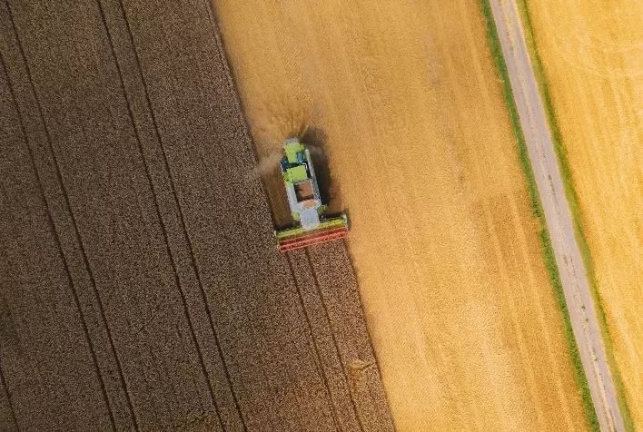 Bertuol Fertilizantes aposta no SAP S/4HANA para promover produtividade, compliance e inovação nos processos