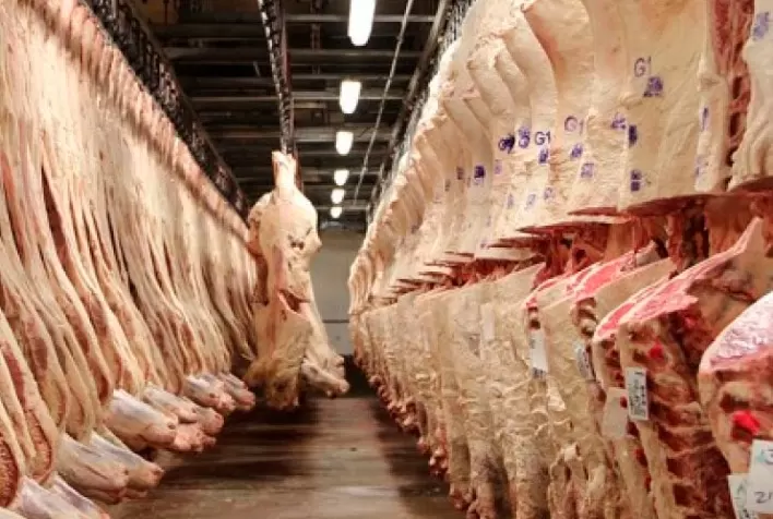 Exportações de carne mato-grossense diminuem mas receita aumenta e chega a R$ 1,7 bilhão