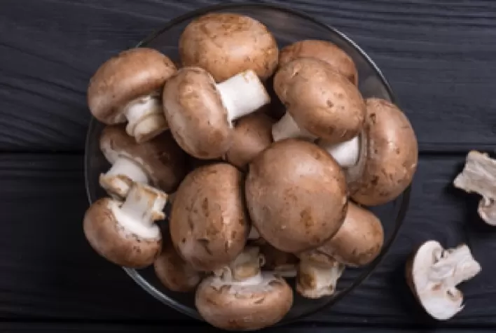 Aprenda a cultivar cogumelos sem sair de casa