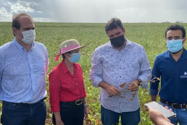 Aprosoja/MS receberá demanda de agricultores com prejuízos e repassará ao Mapa