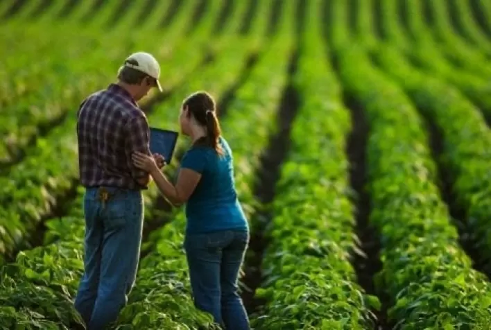 Vagas no agro: para quem são as melhores oportunidades de carreira