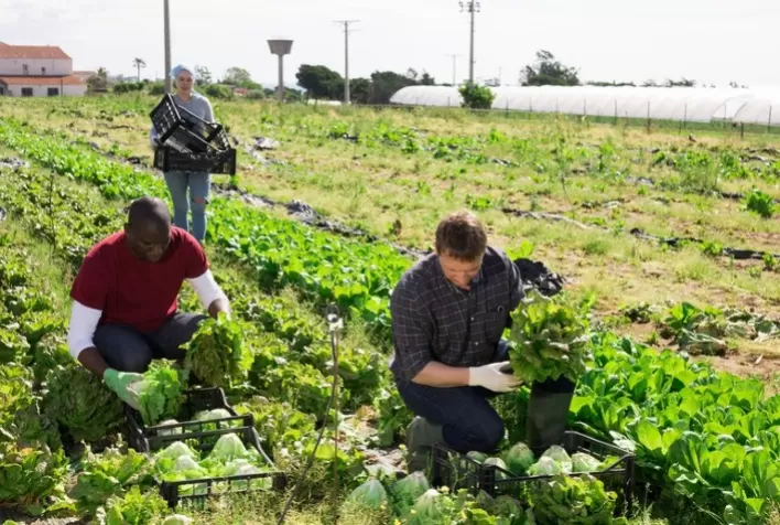 Garantia-Safra autoriza pagamento para mais de 74 mil agricultores familiares em janeiro
