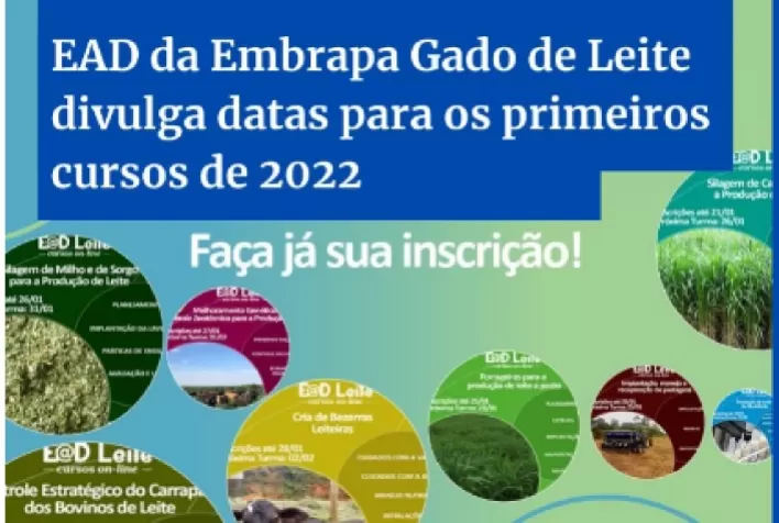 Não perca o prazo: inscrições para os primeiros cursos de EAD da Embrapa Gado de Leite em 2022 terminam nesta semana