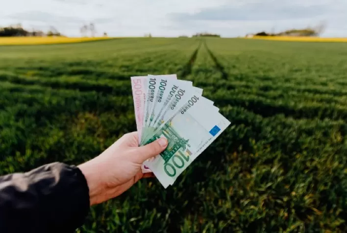 Estratégias de comercialização para o agronegócio