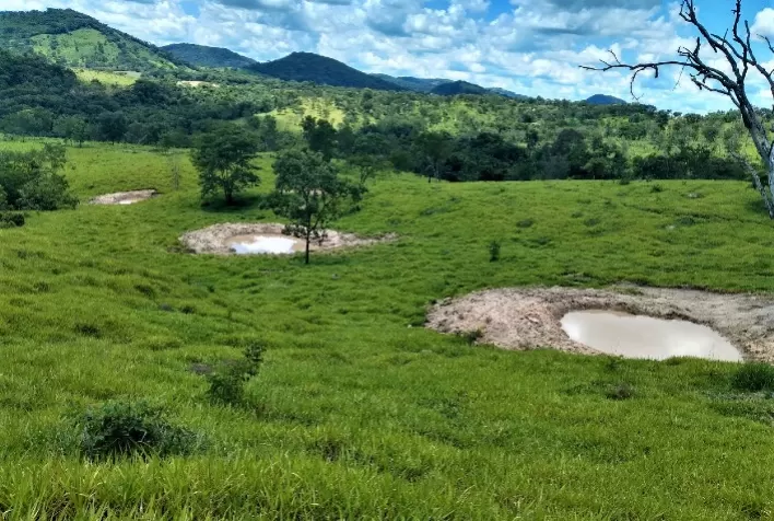 Trabalho de recuperação de nascentes beneficia comunidade rural do Centro-Oeste de Minas