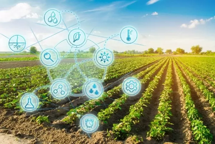 LGPD exige atenção e mudança de cultura do setor de agronegócio no país