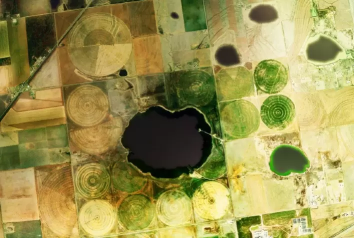 Cresce área agrícola monitorada no Brasil pela EarthDaily Agro
