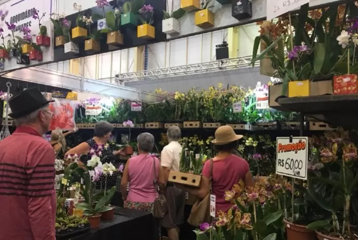 Mercado de flores no Brasil, um novo perfil