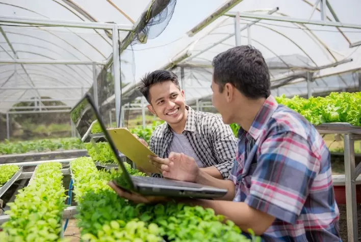 IICA e Syngenta buscam as soluções para os desafios da agricultura na ciência