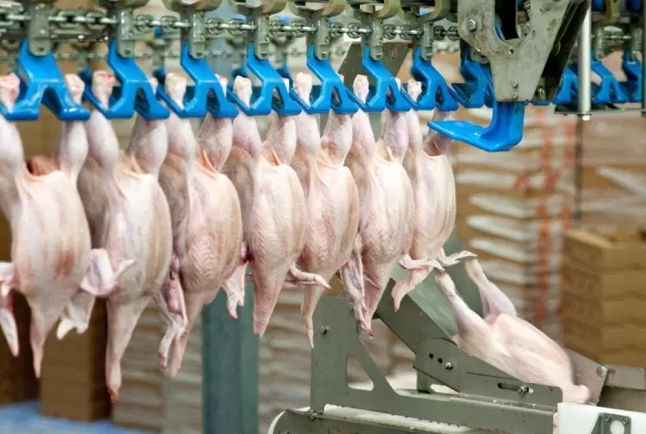 Embarques de carne de frango em 15 dias úteis já superaram o faturamento registrado em janeiro/21