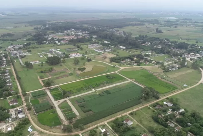 Abertura Oficial da Colheita do Arroz contará com delegações internacionais