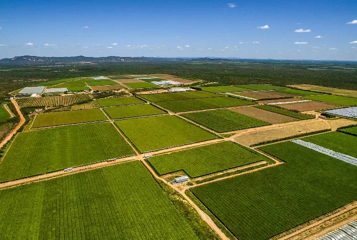 Digitalização no campo: como a tecnologia pode ser aliada à segurança alimentar