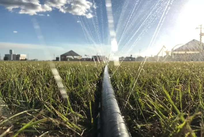 Irrigação por microaspersão pode gerar economia de até 50% em energia elétrica