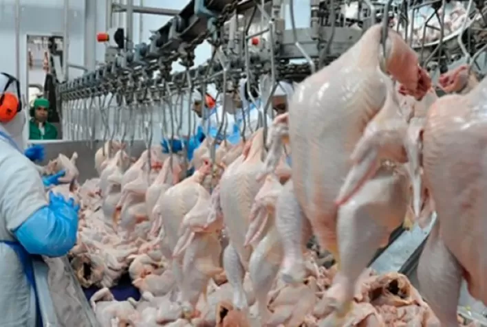Carne de frango: quase dois terços das exportações de 2021 saíram do Paraná e de Santa Catarina