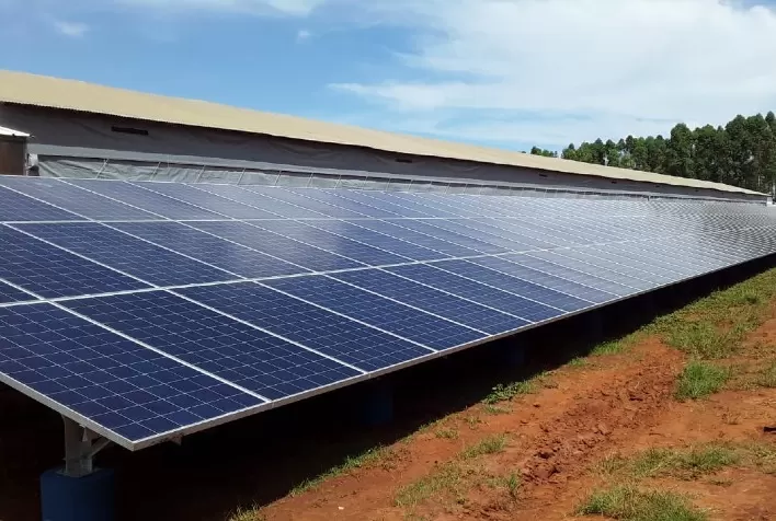 BP vai estrear em geração solar no Brasil em 2023