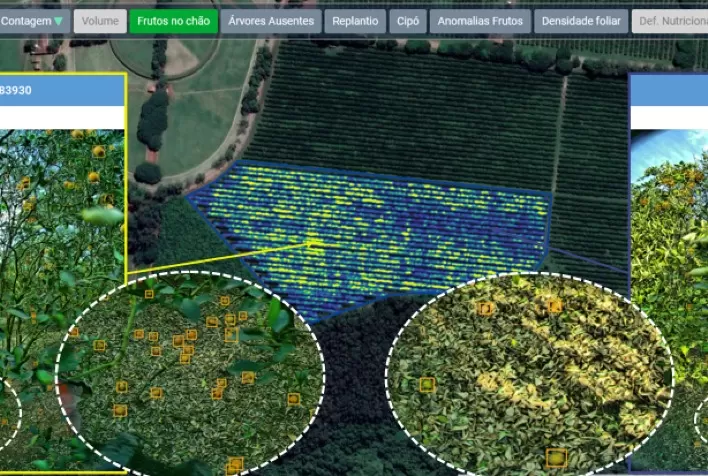 Bayer firma parceria com Adroit Robotics para monitoramento digital de citrus
