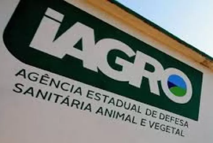 Iagro prorroga o prazo para regularização de rebanhos de caprinos e ovinos em MS