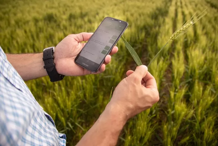 Tecnologia para gestão de dados agronômicos transforma a condução de ensaios a campo