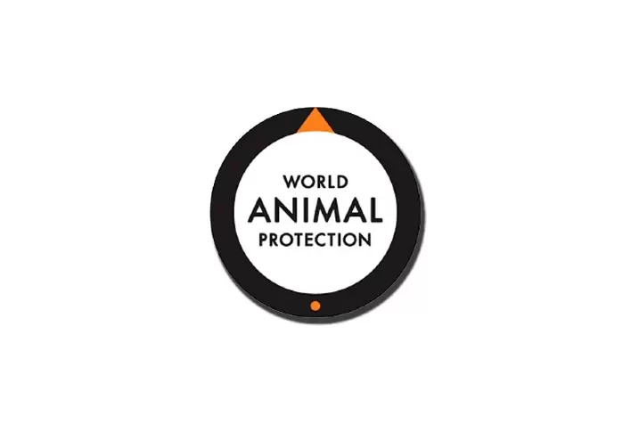 Entra em vigor na UE legislação que bane uso indiscriminado de antibióticos e estimula o bem-estar na criação animal; normas alcançam até importações