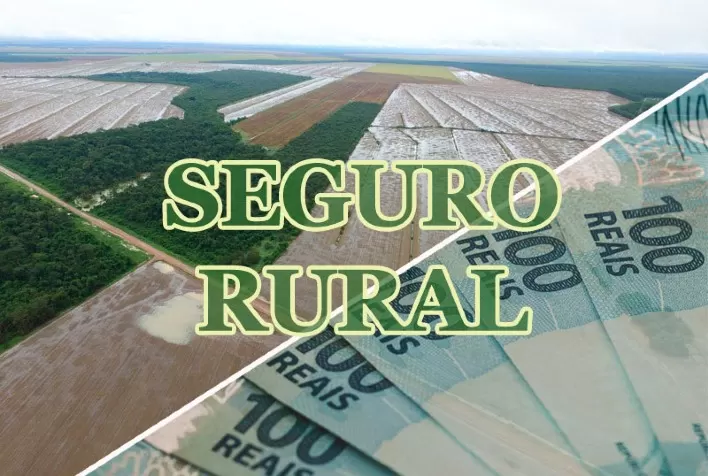 Agricultores receberam R$ 4,1 bilhões em indenizações de seguro rural entre janeiro e novembro de 2021