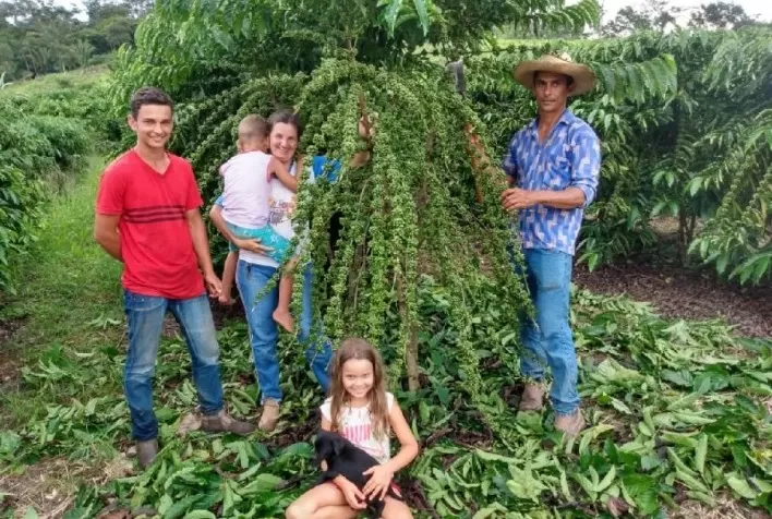 Manejo e adubação refletem em maior produção de café para agricultores de Cotriguaçu