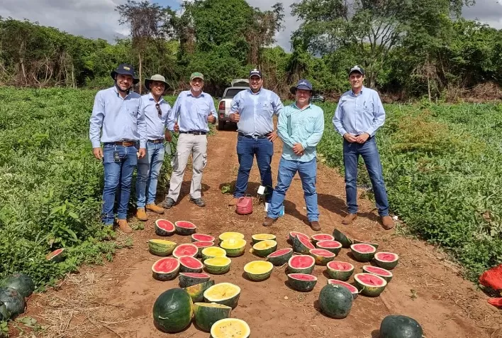 Plantseed completa 25 anos como uma das maiores distribuidoras de sementes do Brasil