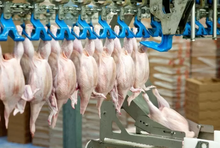 Com quase 318 mil/t embarcadas em janeiro, carne de frango registra aumento anual de 18%