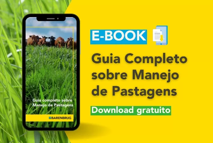 A Barenbrug do Brasil oferece gratuitamente o E-book “Guia Completo sobre Manejo de Pastagens”
