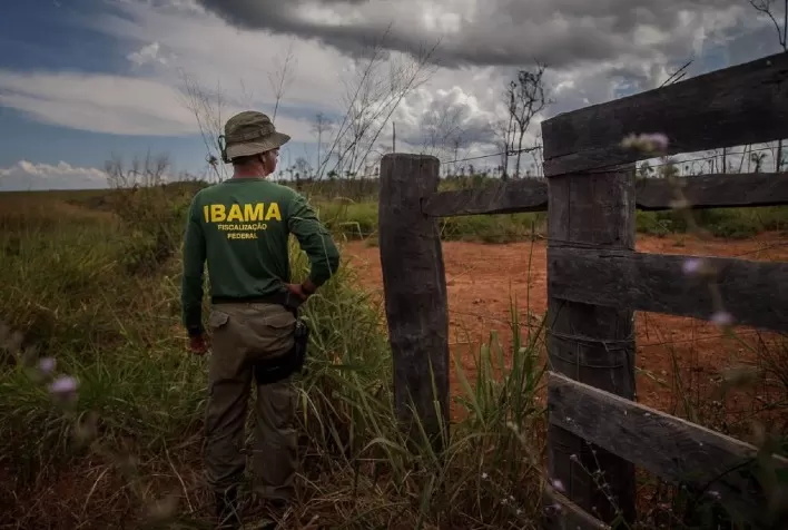 Ibama só gastou 41% do que teve para fiscalização