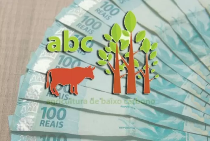 Agro quer crédito do Programa ABC para fazendas atingidas por incêndios