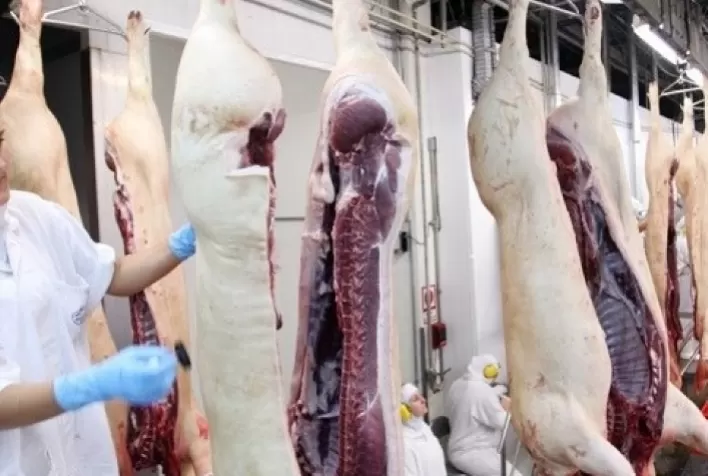 Exportações de carne suína aumentam 18,2% em janeiro
