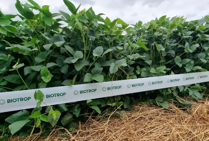 Show Rural terá lançamentos da Biotrop para soja e pastagens