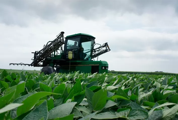 As lições do mercado de fertilizantes em 2021