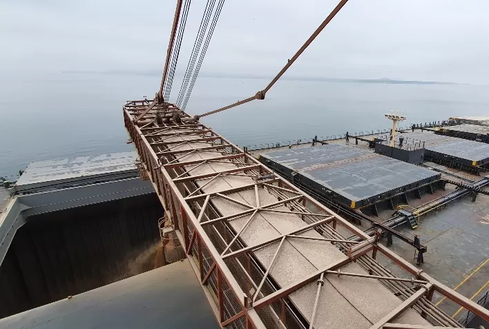 Anec reduz projeção de exportação de soja do Brasil em fevereiro; eleva a de farelo