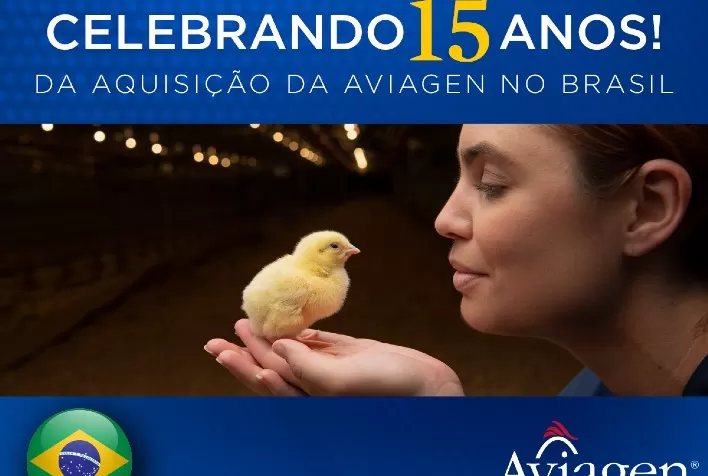 Celebrando 15 anos da aquisição, Aviagen firma posição de destaque no mercado avícola brasileiro