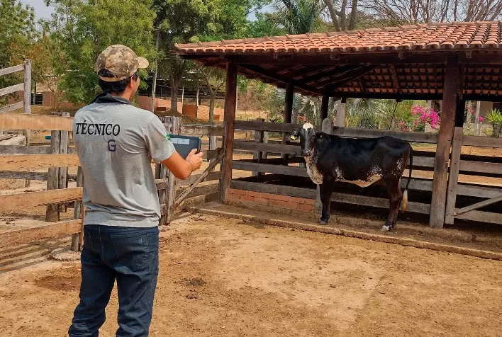 Associação de Girolando bate recorde de animais registrados