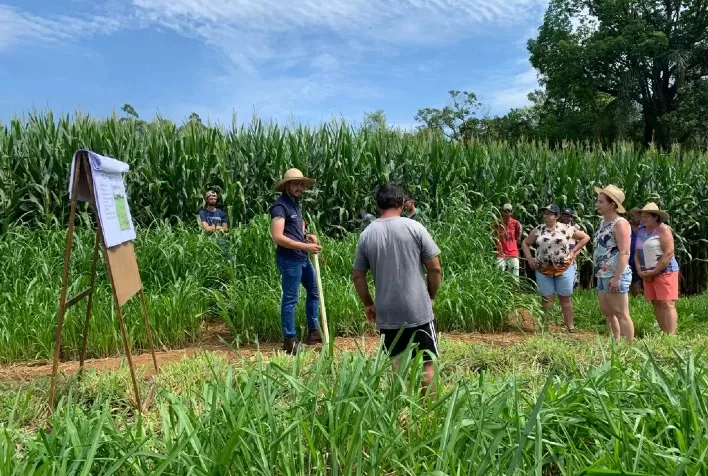 Produtores de leite do sul participam de visitas técnicas em unidades demonstrativas