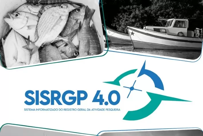 AQUICULTURA E PESCA: Sistema de recadastramento digital de pescadores estará em manutenção entre 14 de fevereiro e 2 de março