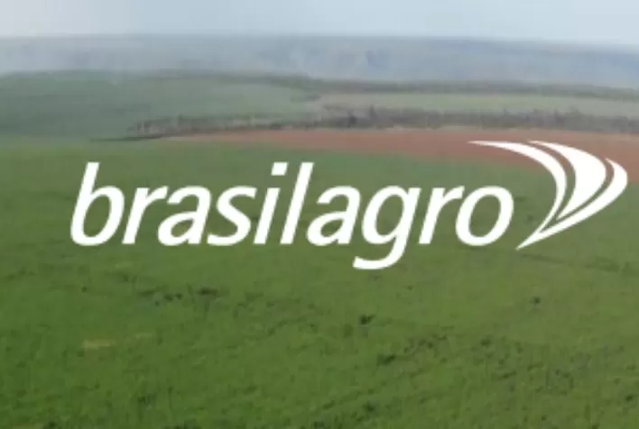 BrasilAgro tem receita recorde e atinge lucro líquido de R$ 407,2 milhões no semestre