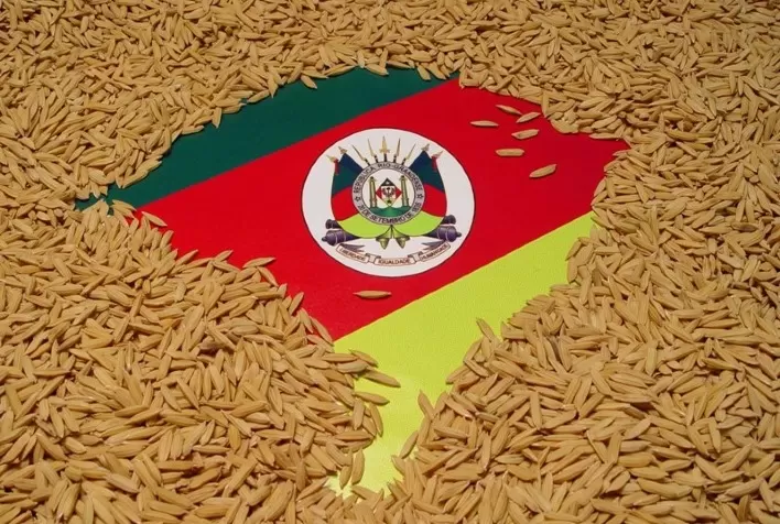 Com produtores retraídos, preço do arroz gaúcho segue subindo