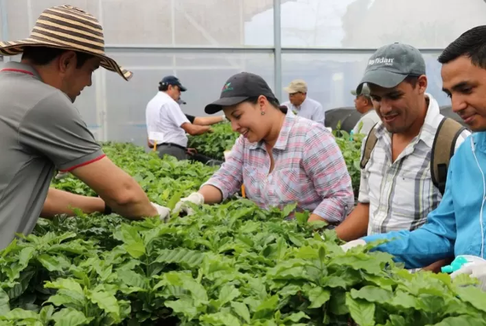Presidente do Comitê de Segurança Alimentar Mundial adverte que só com sistemas agroalimentares mais justos e inclusivos os Objetivos de Desenvolvimento Sustentável serão alcançados