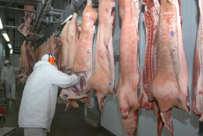 Em janeiro a exportação de carne suína apresentou incremento anual de 18,8% no volume e de 10% na receita
