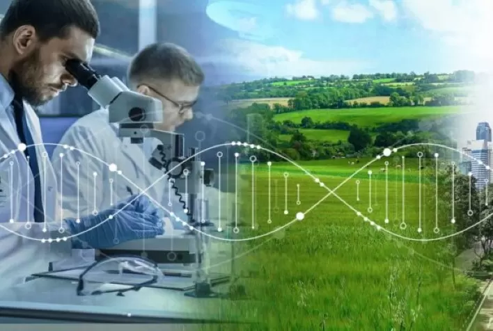 Inovação em saúde veterinária: Celer Biotecnologia anuncia parceria com o fabricante europeu Diatron MI