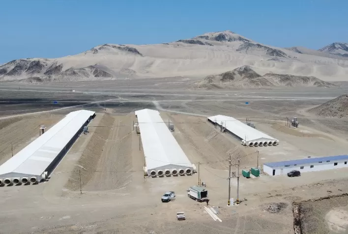 Aviagen América Latina continua seu crescimento, com US$ 12 milhões em investimentos no Peru