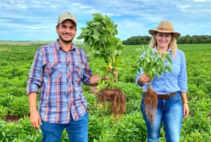 Tecnologia da Fertiláqua oferece solução para o cultivo da soja em área de primeiro ano