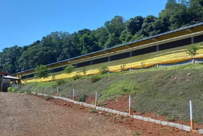 Tradição entre gerações: produzir alimentos com qualidade