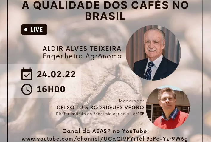 LIVE: A qualidade dos cafés no Brasil