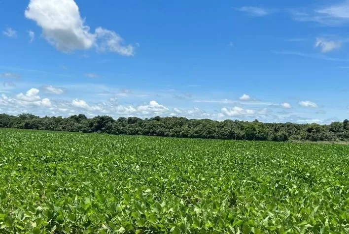CAT Sorriso anuncia balanço parcial do Projeto Produzindo Valor